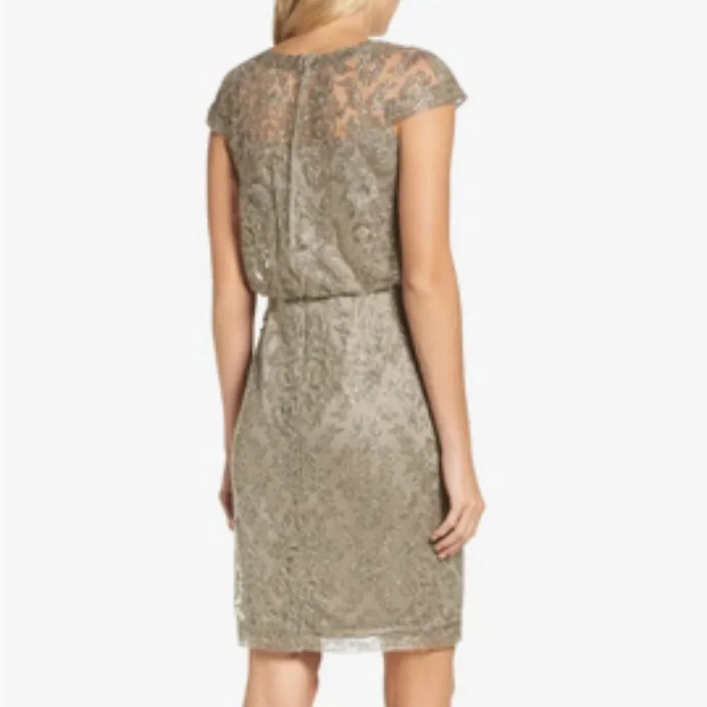 Tadashi Shoji Embroidered Metallic Blouson Dress in Smoke Pearl. Sz: 10 - Picture 4 of 10